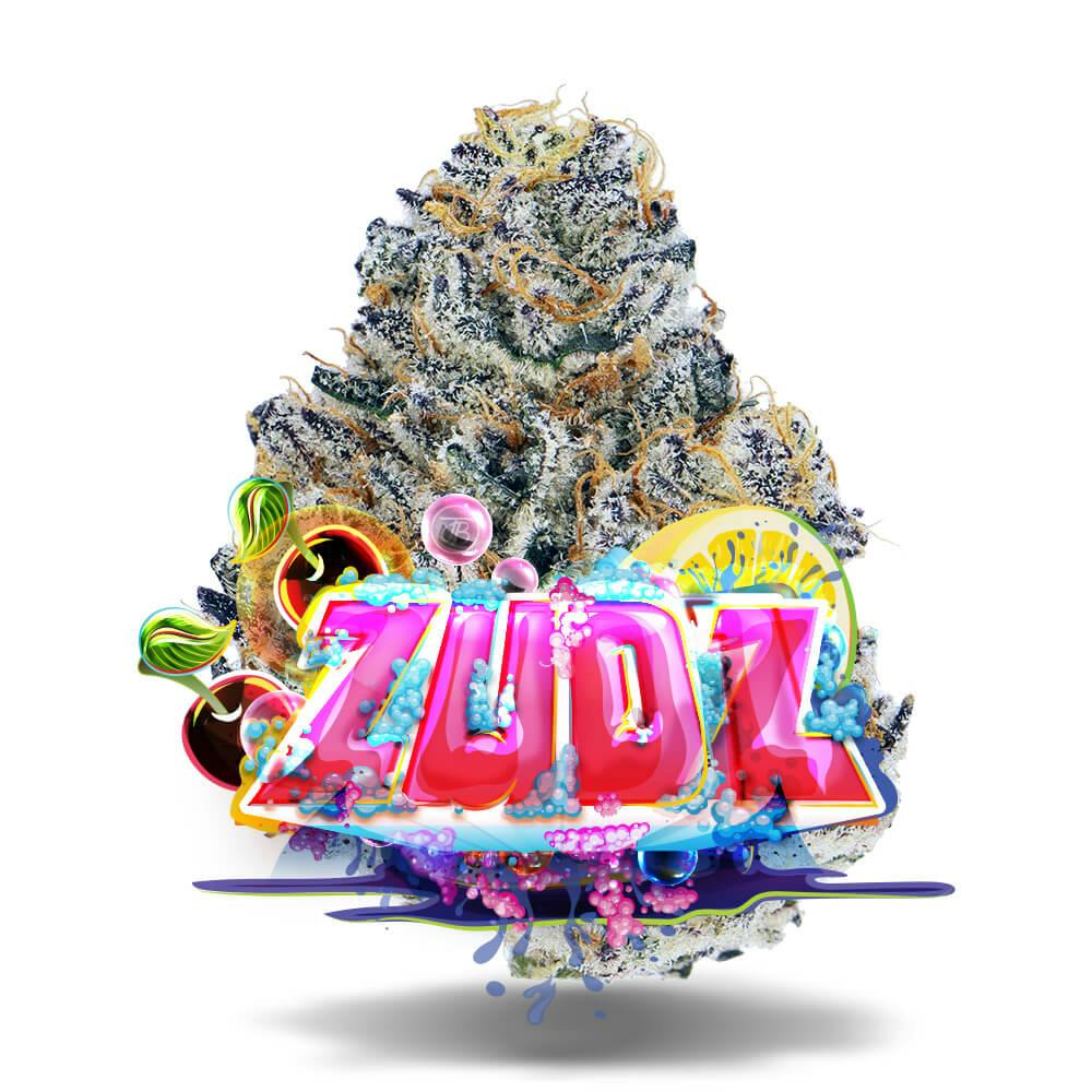 Shop Blu Zerdz - Premium Flower in Bonita Springs | Jungle Boys