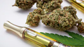 Vaporizers category image