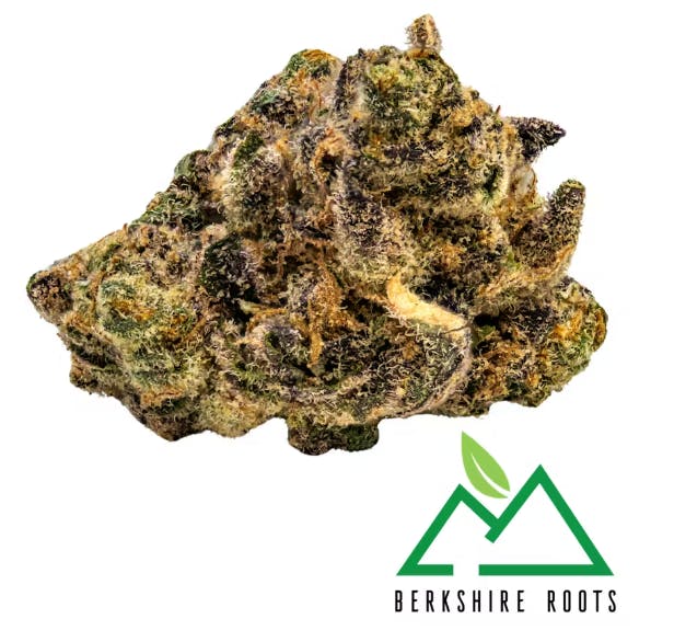 Product Tropicanna Banana (S) | Flower | 28g