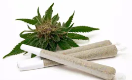 Pre-Rolls category image