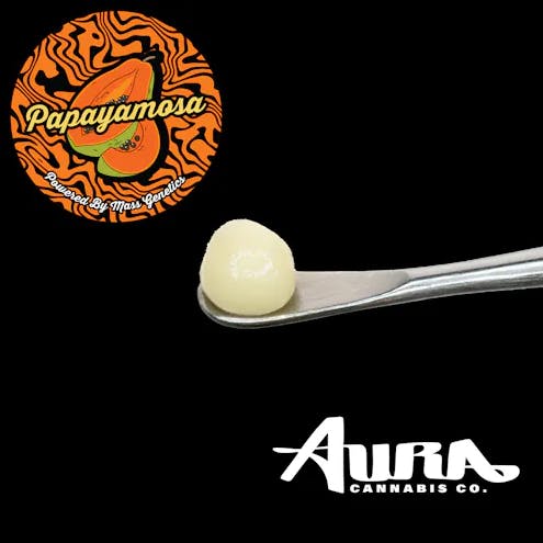 Aura | Papayamosa | Premium Live Rosin