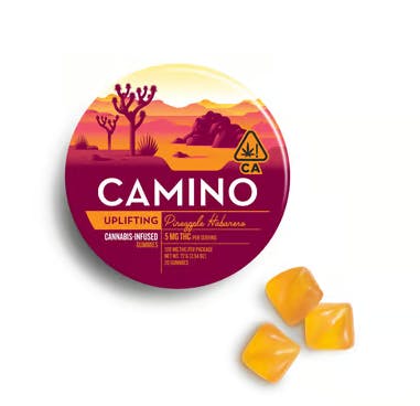 Camino | Pineapple Habanero Gummies | 20 Pack | 100mg