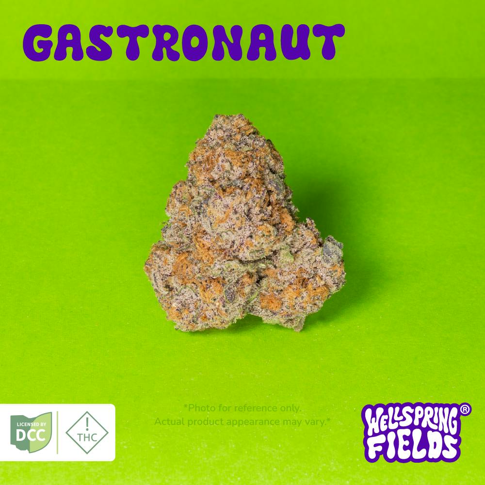 Gastronaut
