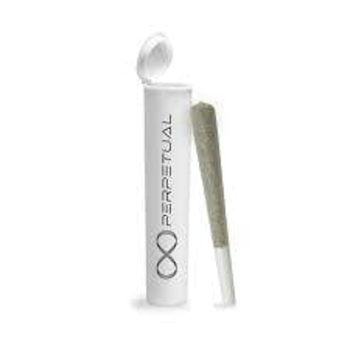 Photo of Perpetual | Its It | Preroll
