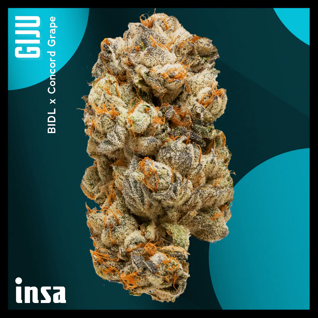 Cannabis Dispensary in Largo, FL | Open Daily