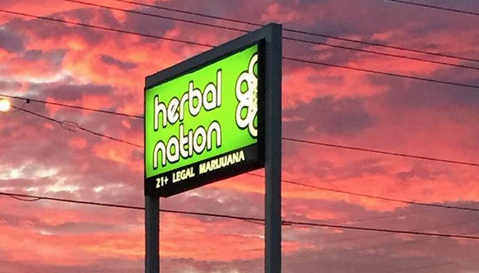 Herbal Nation logo