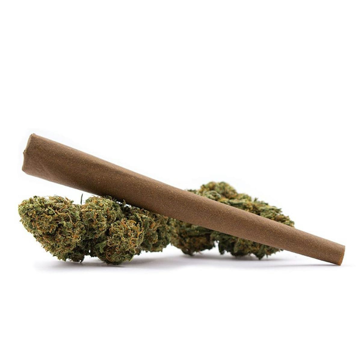 Image of Mimosa | 1g Blunt