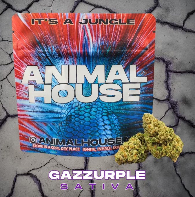 AH Gazzurple Small Buds 5g