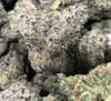 $30 Half OZ 