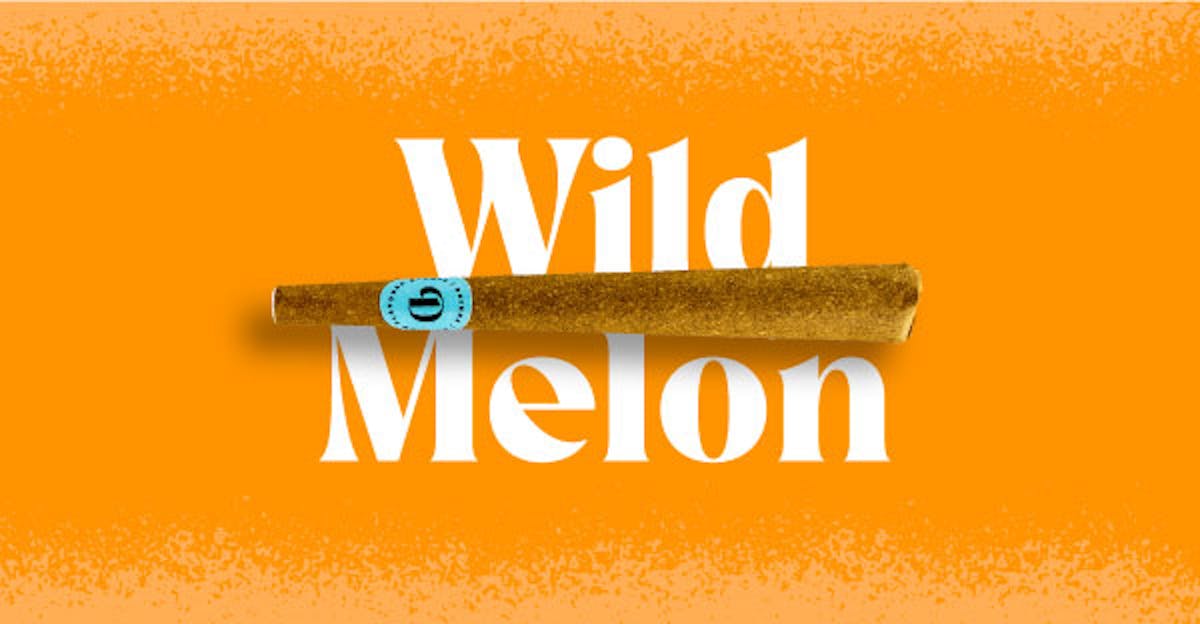 Photo of Doinks Wild Melon Infused Pre-Roll 1g