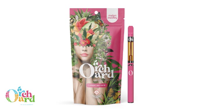 Best Vape Cartridges in Denver (2026 Guide)