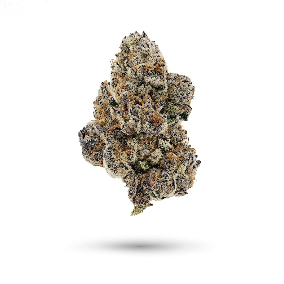 Photo of Platinum Shelf – Holy Cannoli (H)