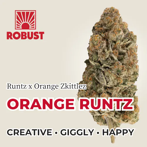 Robust | Orange Runtz-1