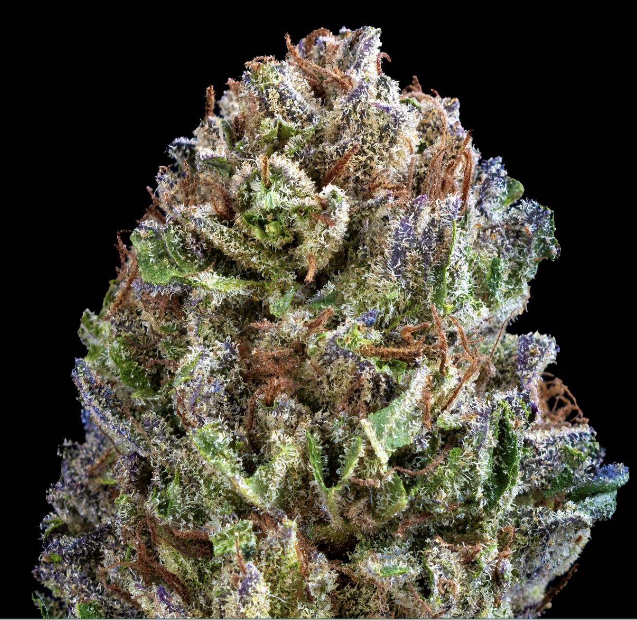 Ithaca Organics | Planet of The Grapes Flower Jar-1