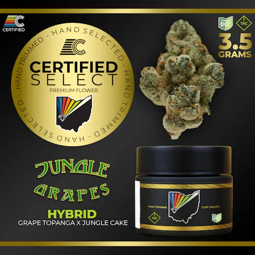 Certified Cultivators | Concrete Jungle (Buds) | 3.5g | Hybrid-1