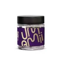 Umami | Purple Punch Flower