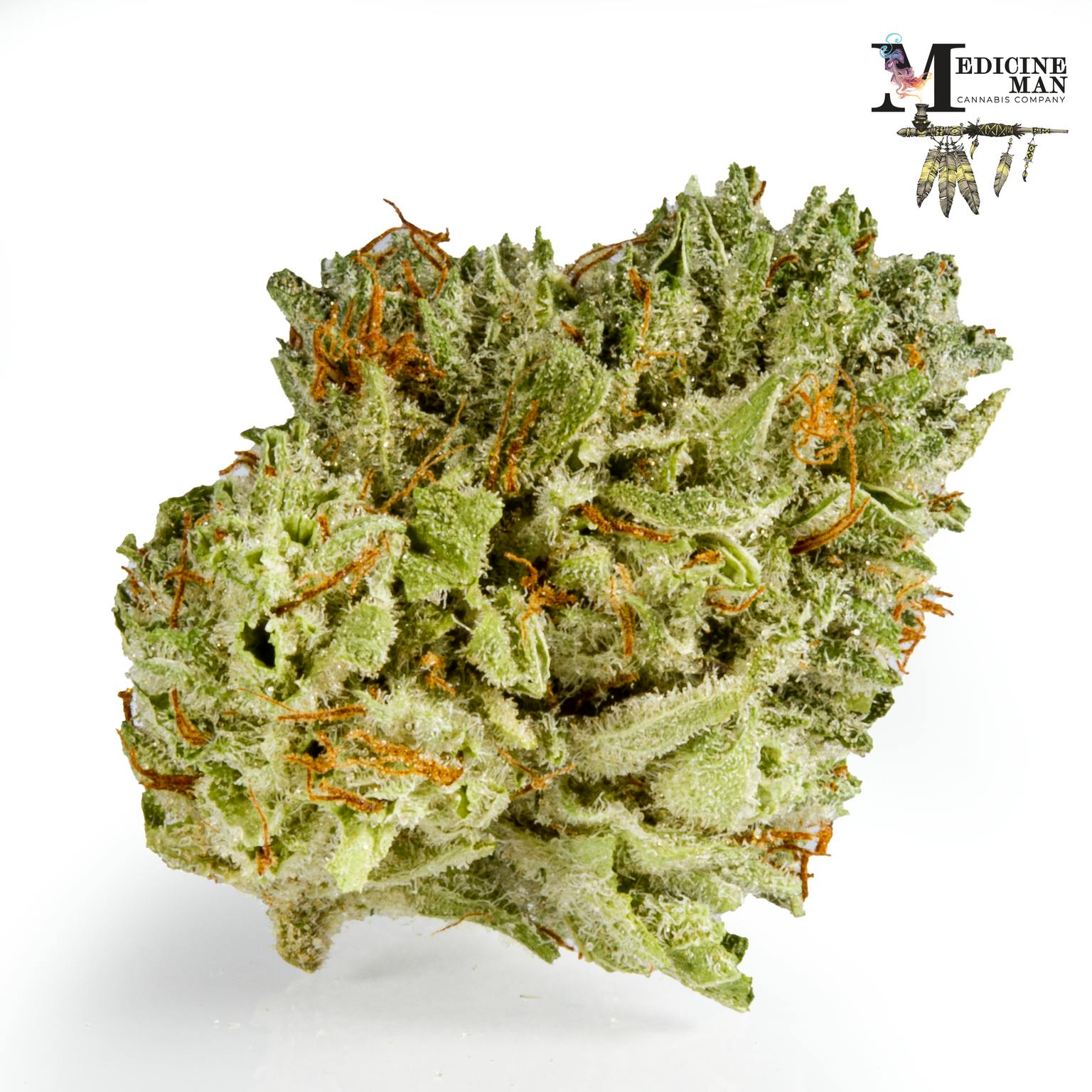 Platinum Garlic Cookies (Hybrid) - Shake