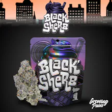 Growing Pains - 3.5g Prepack - Black Sherb