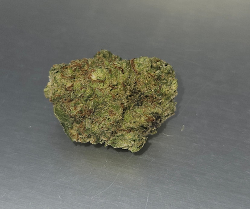 Mimosa X Orange Punch Flower: (HI)