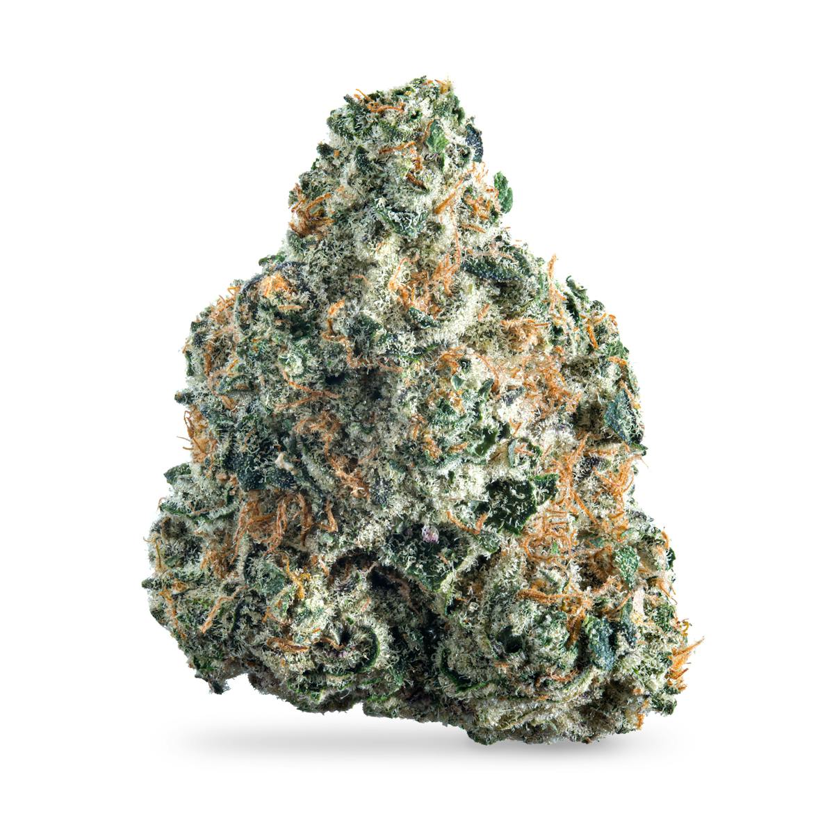 Photo of Rotten Lemons