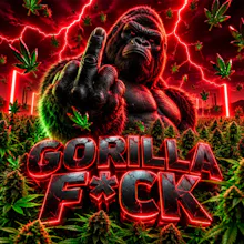 DELI - Gorilla Fuck - FLOWER by High Minded at King of Budz