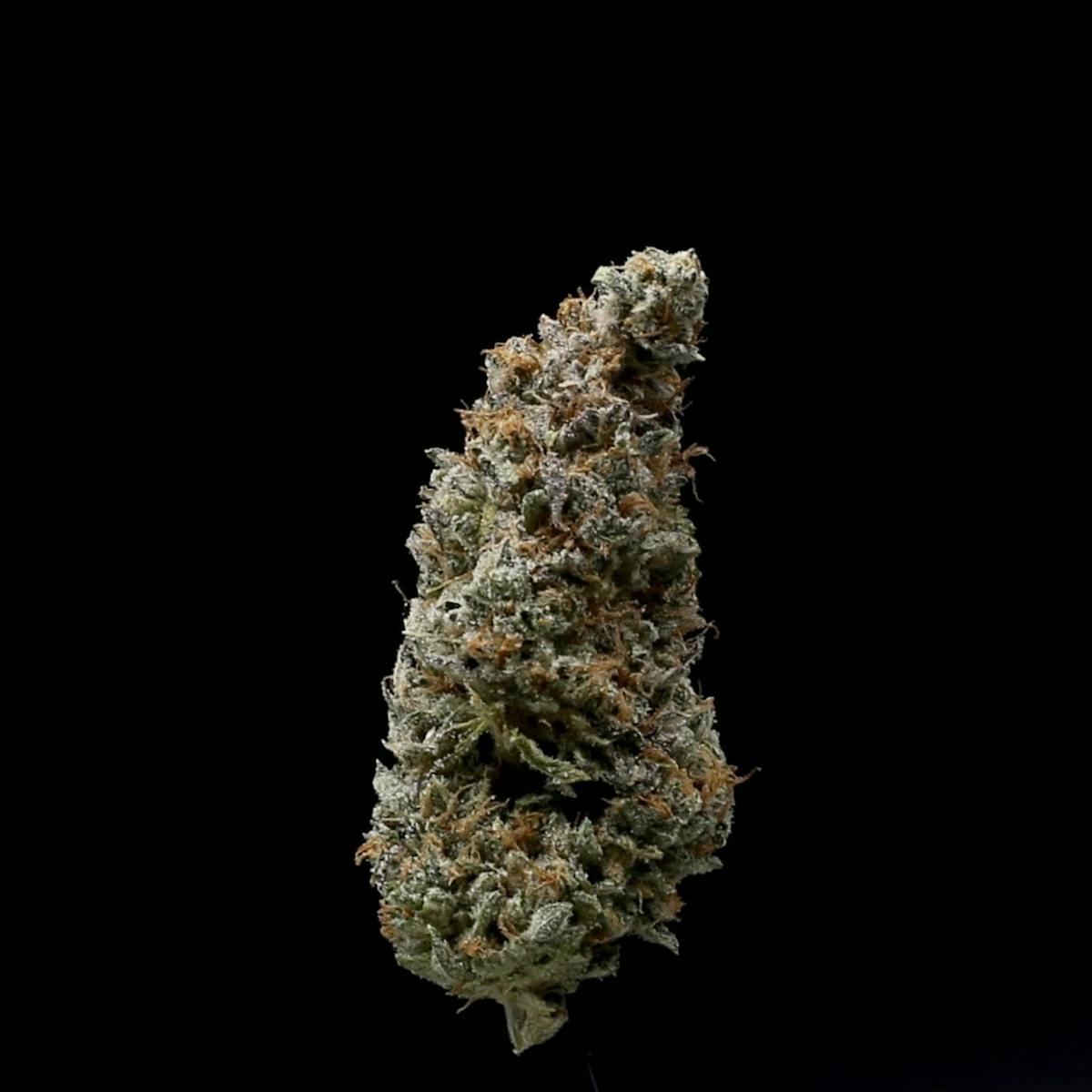Image of Duchess of York | 3.5g