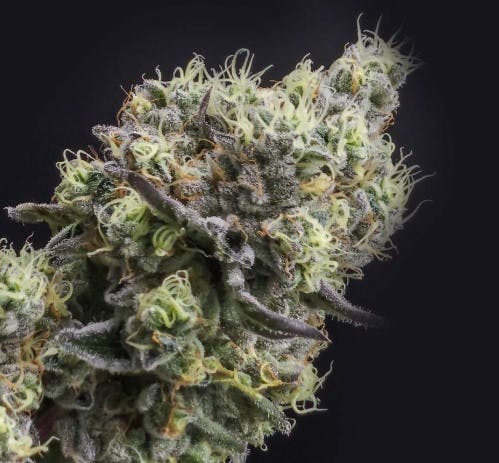 Photo of Wedding Cake