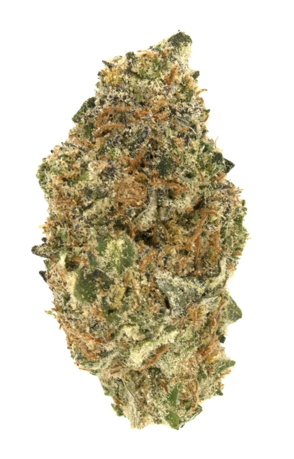 Product: White Nightmare | Pegasus