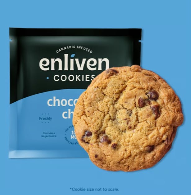 Chocolate Chip Cookie 10mg