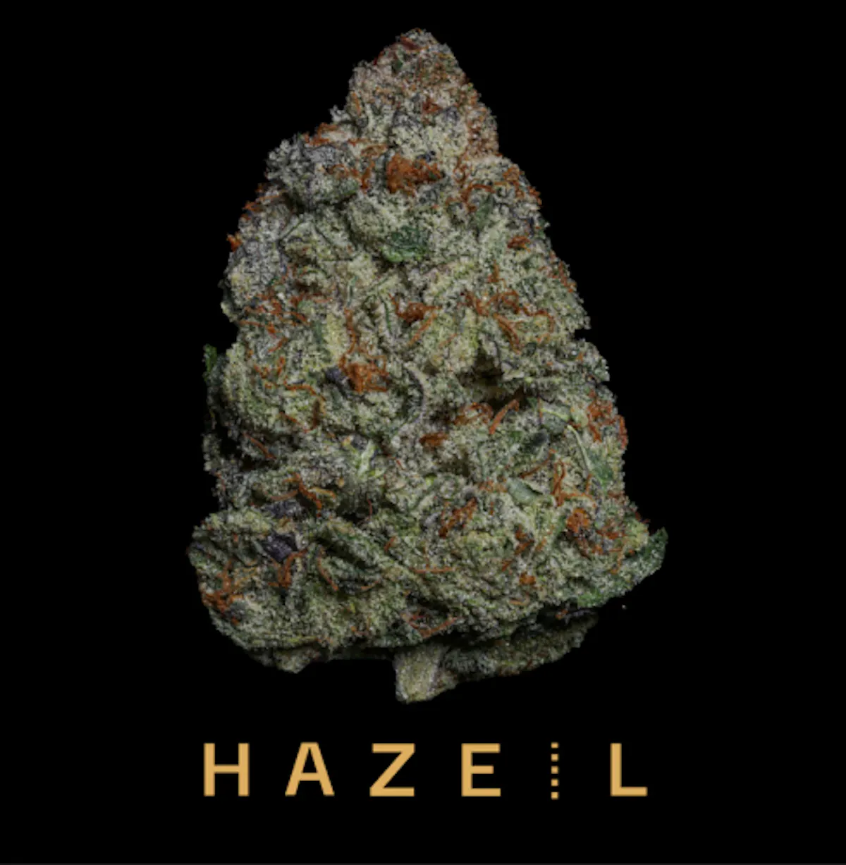 Hazel Georgia Peach 7g 1/4oz Flower | Hazel |