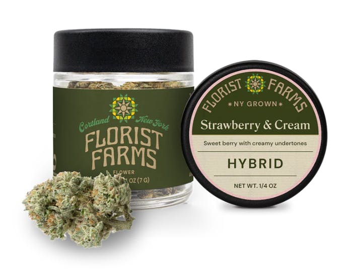 Strawberry & Cream Hybrid | Florist Farms
