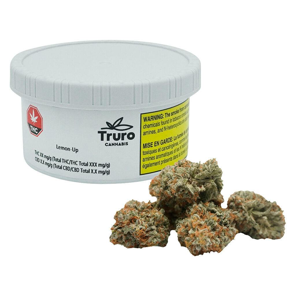 Truro - Lemon–Up-0