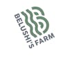20% Off Brick Hash by Belushi Farms 