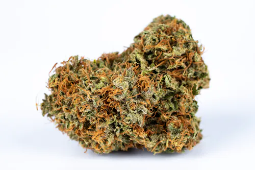 Titan Express Smalls 3.5g – Grassroots (Pre-Pack)-1