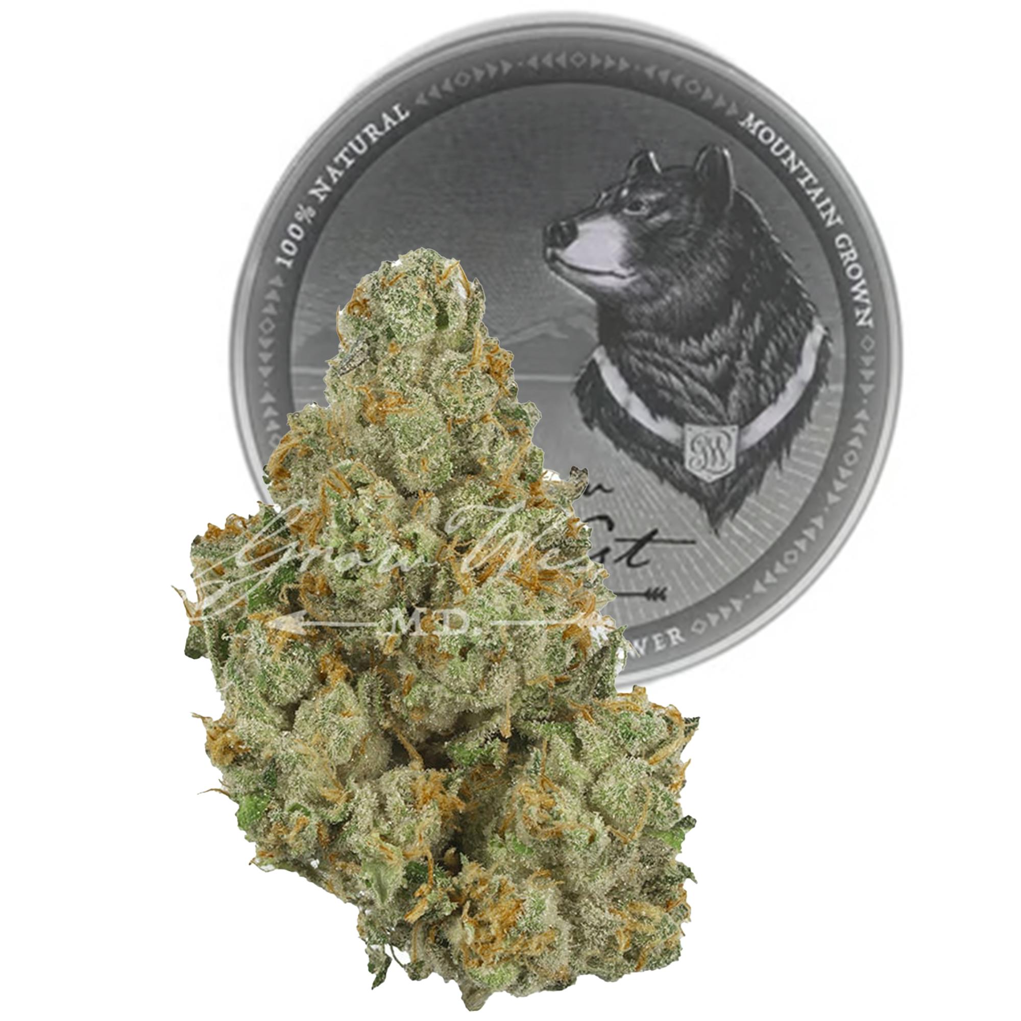 Shop Grow West Cannabis Company Jack Herer PREMIUM in Hagerstown