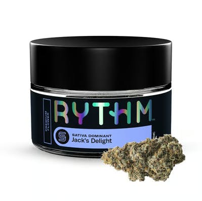 Rythm | Jack's Delight | Flower