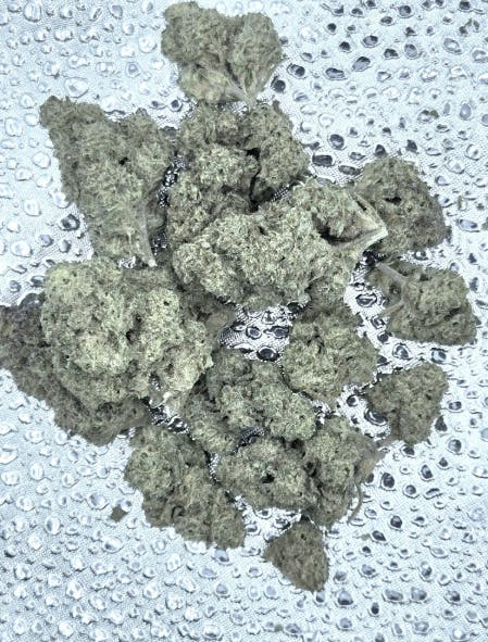 Product: Sour Garlic Margie | Dragonfly