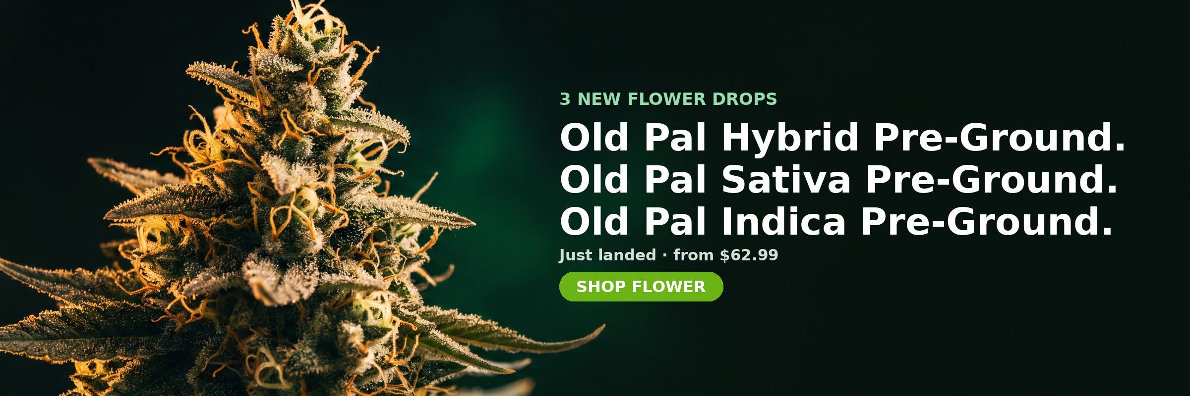 3 new Flower at MrGreen DC — Old Pal Hybrid Pre-Ground, Old Pal Sativa Pre-Ground, Old Pal Indica Pre-Ground