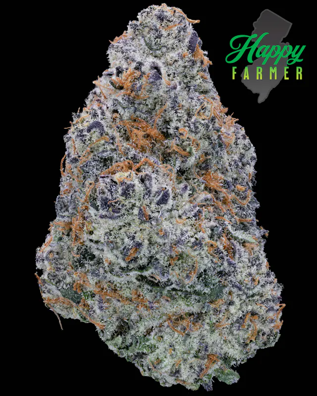 Happy Farmer Flower Scarlet Jelly 3.5g (hybrid, whole flower, 1.75g)