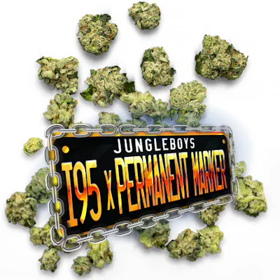 I-95 x Permanent Marker - Pops