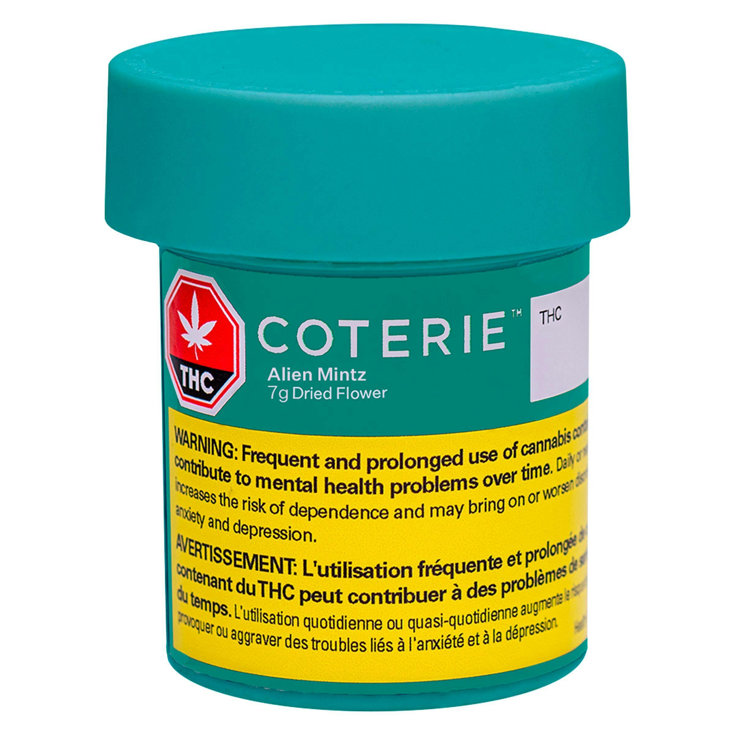 Coterie - alien mintz