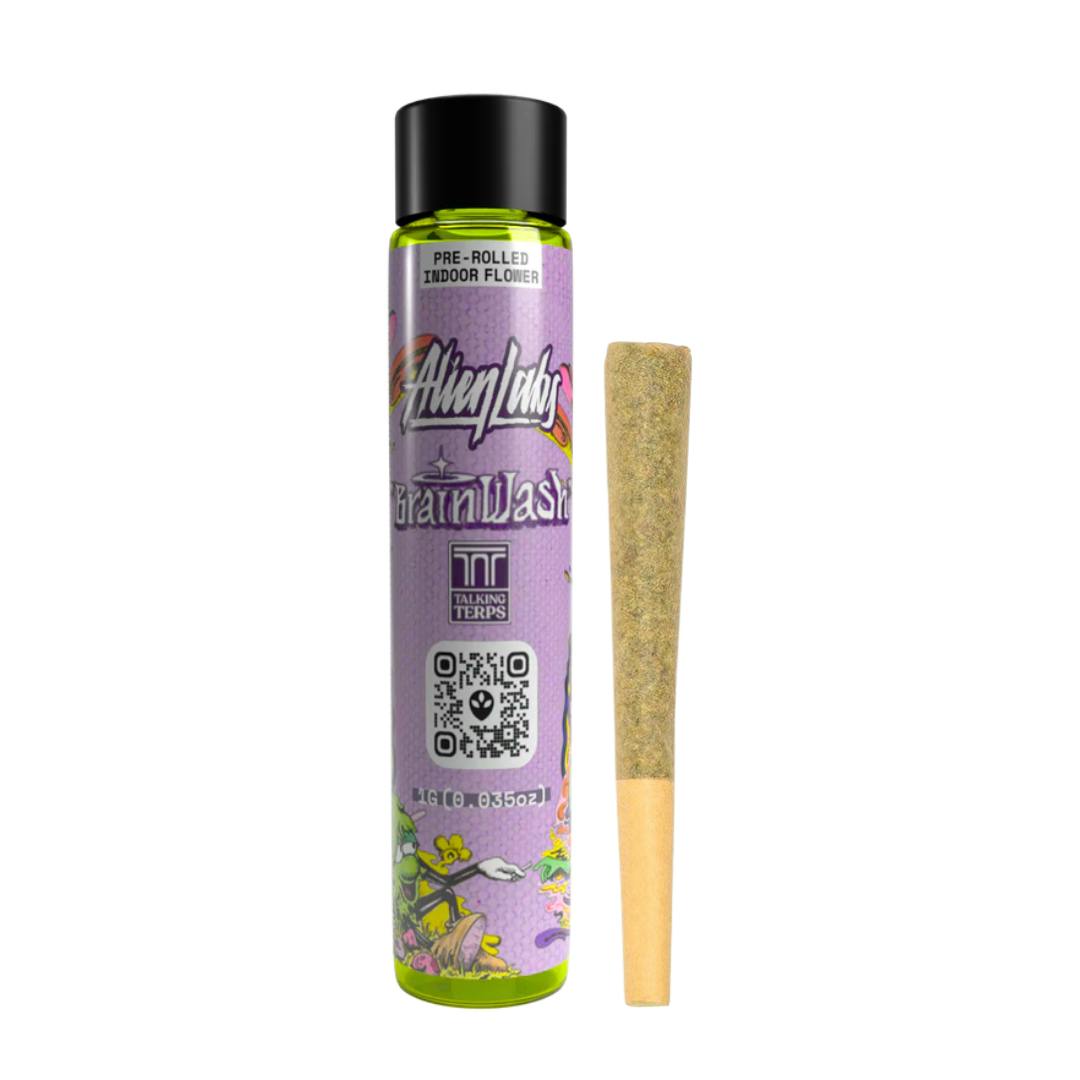BRAIN WASH PREROLL