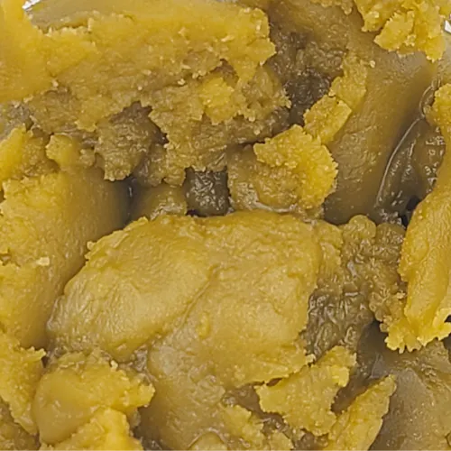 FLWRpot | Gelato Cured Resin Bulk * Minimum Purchase*-active