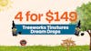 4 for $149 - Treeworks Tinctures Dream Drops