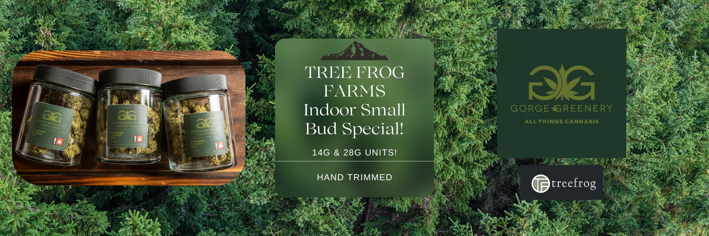 Flower, Cannabis, Recreational, Dispensary, Oregon, Hood River, Gorge, Gorge Greenery, Tree Frog Farm, Bud, Special, Deal, Savings, Discount