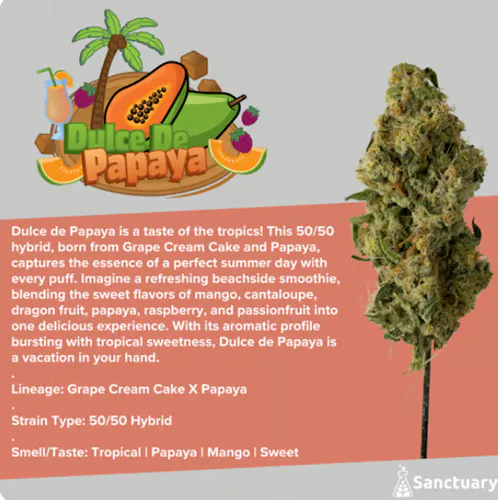 Dulce de Papaya-active