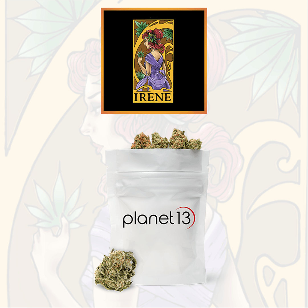 Planet 13 FL - Tallahassee