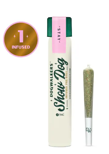 Afternoon Delight 4 Infused PRJ 1g – Dogwalkers Show Dog (Stay)-active