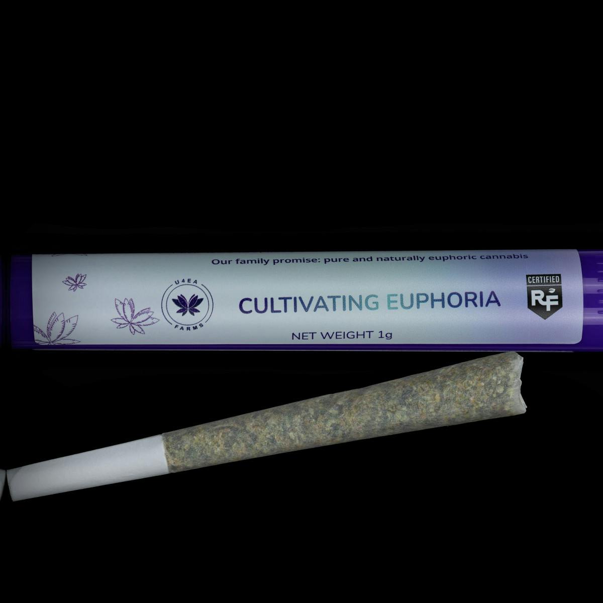 Product Where's My Bikes Bubble Hash Infused | Pre Rolls | 1g
