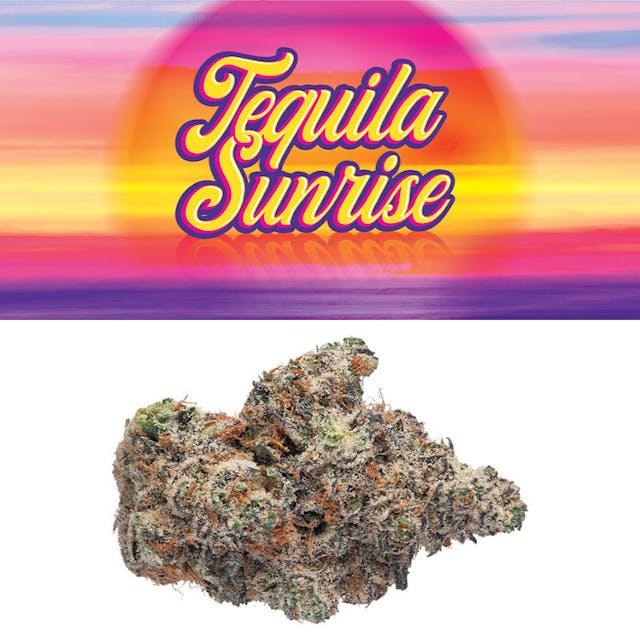 Cross: Lemonchello x Jet Fuel Gelato 8Grow type: Available in IndoorExperience: Full body effect, with a strong head high.Aroma: Toasted honey with a splash of citrus zest.Flavor: Your favorite smokey Añejo with a lime finisher.